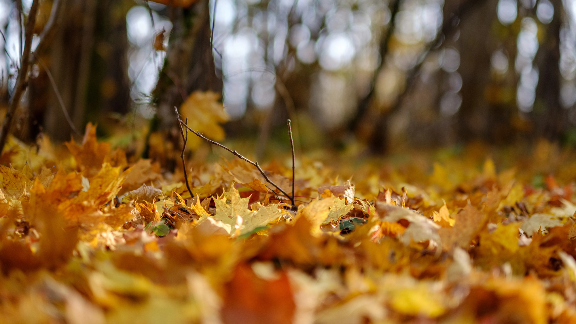 Why 60 degrees in fall feels different than in the spring