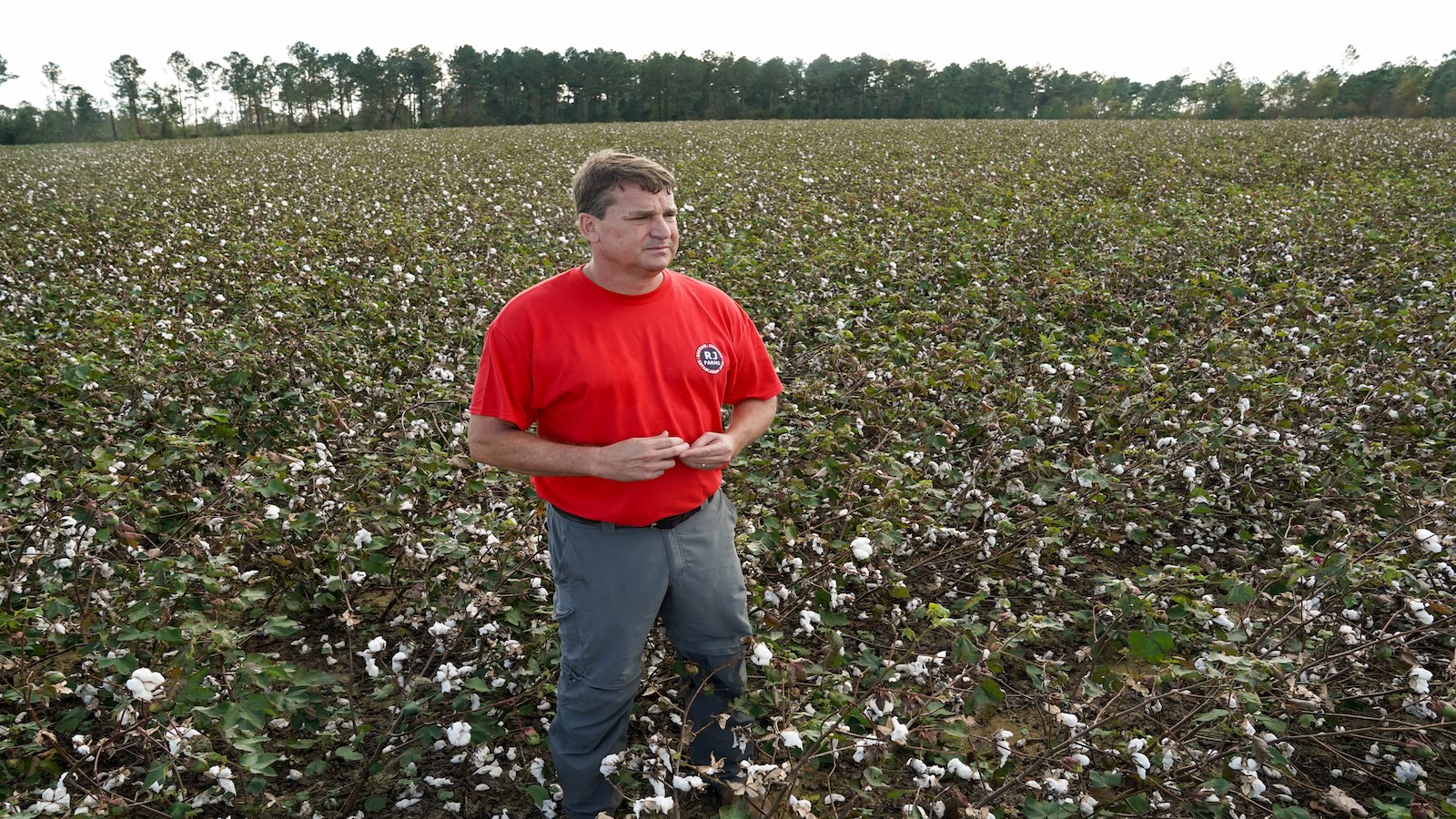 Helene and Milton upended a key part of the nation’s food supply