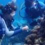 Chlorine mixed with cocoa butter could protect corals from disease and reduce antibiotic pollution